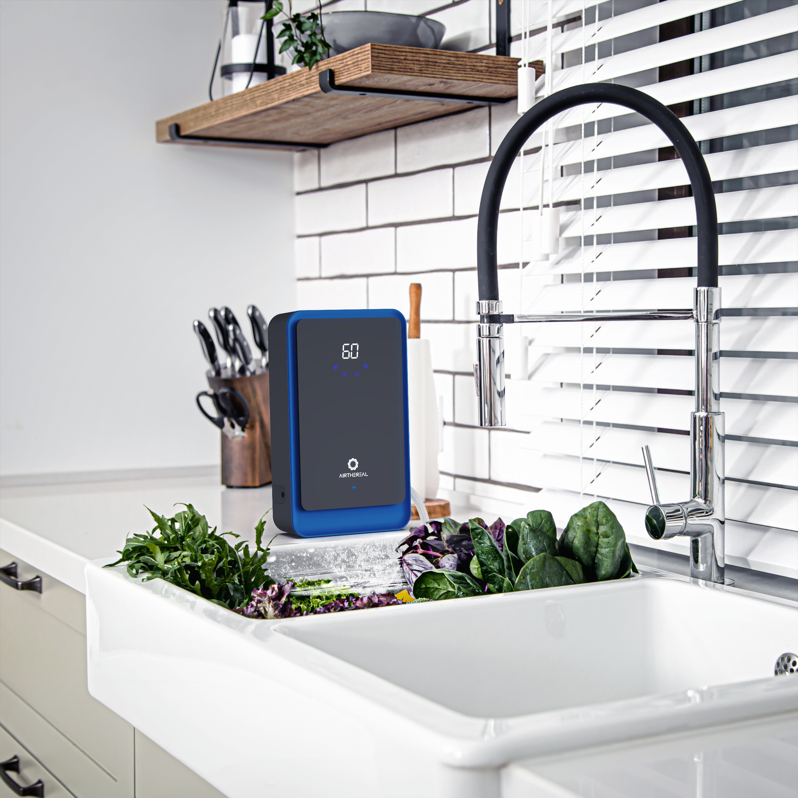 AH1000 Water Ozone Generator